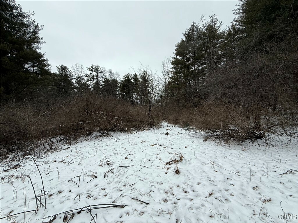 Property Photo:  170 Fisher Settlement Road  NY 14883 