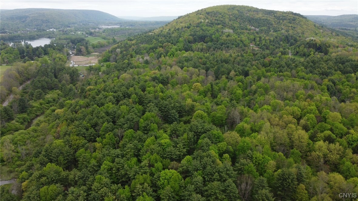 Property Photo: 170 Fisher Settlement Road NY 14883