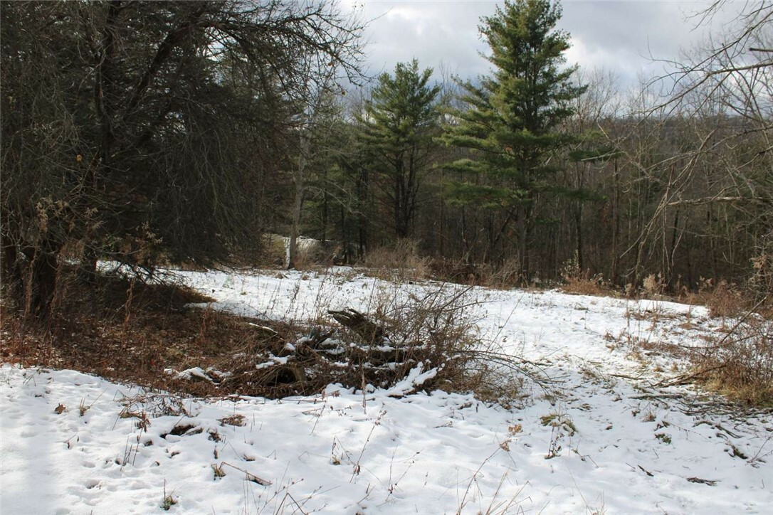 Property Photo:  2975 Steam Mill Road  NY 14869 