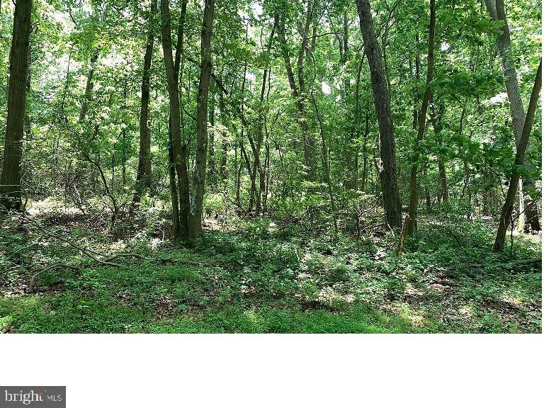 Property Photo:  Lot #00022 Central Avenue  NJ 08318 