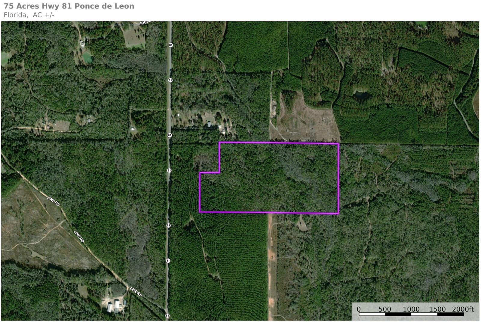 Property Photo: 75 Acres N Highway 81 FL 32455
