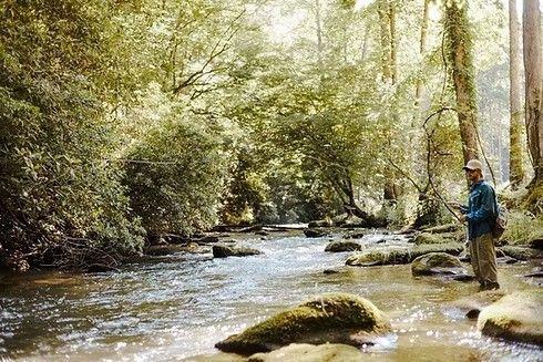 Property Photo: 508 Ed Graves Road NC 28906