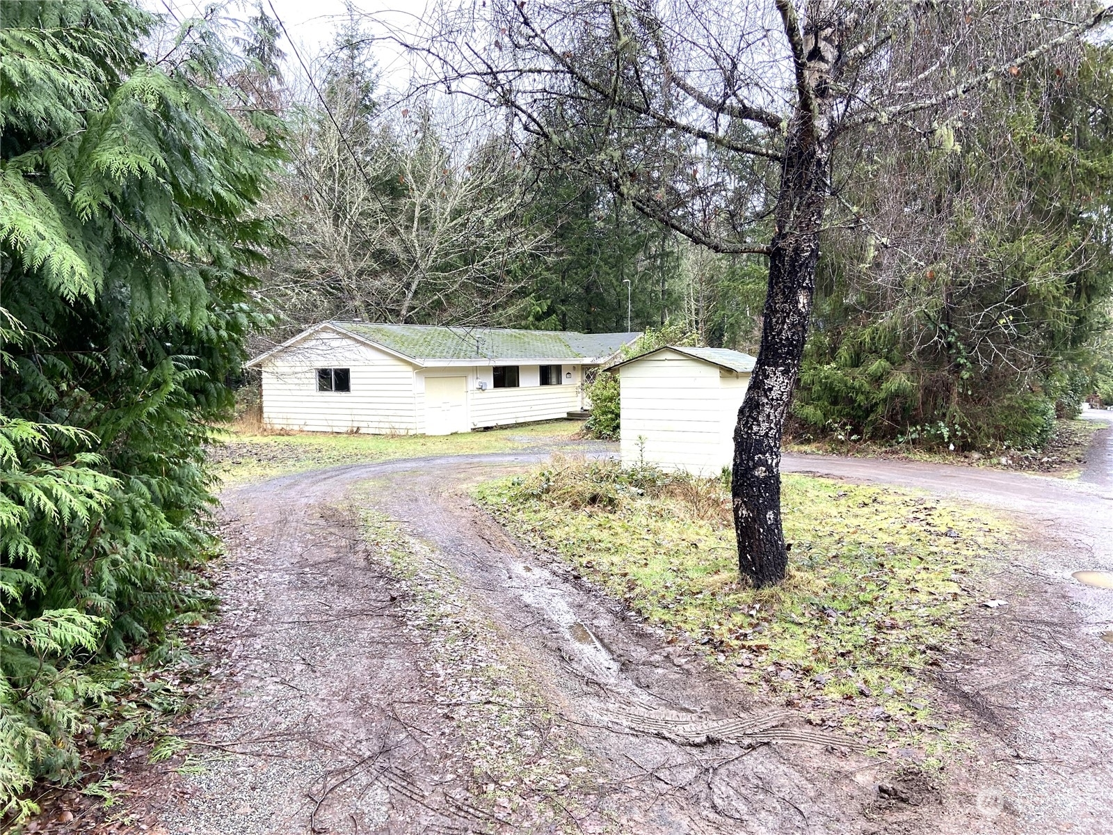 11301  Miller Road NE  Bainbridge Island WA 98110 photo