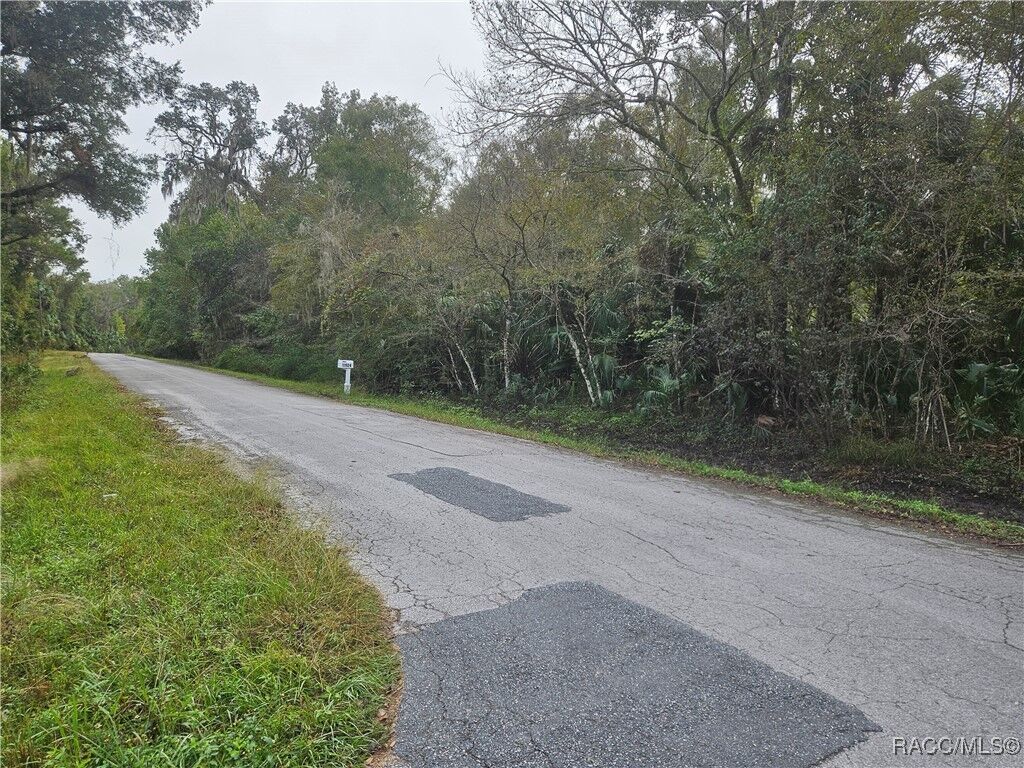 Property Photo:  11924 W Deodar Street  FL 34428 