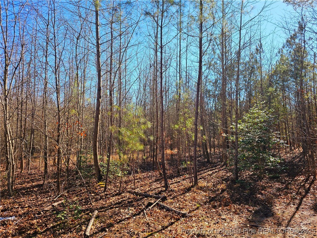 Lot 5 Dragonfly Lane  Sanford NC 27332 photo