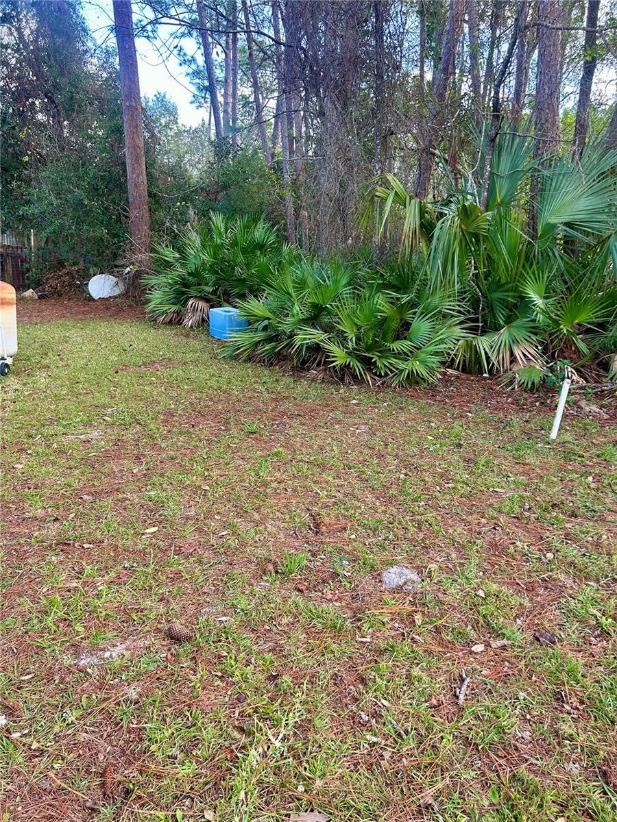 Property Photo:  44510 Sunset Trail  FL 32720 