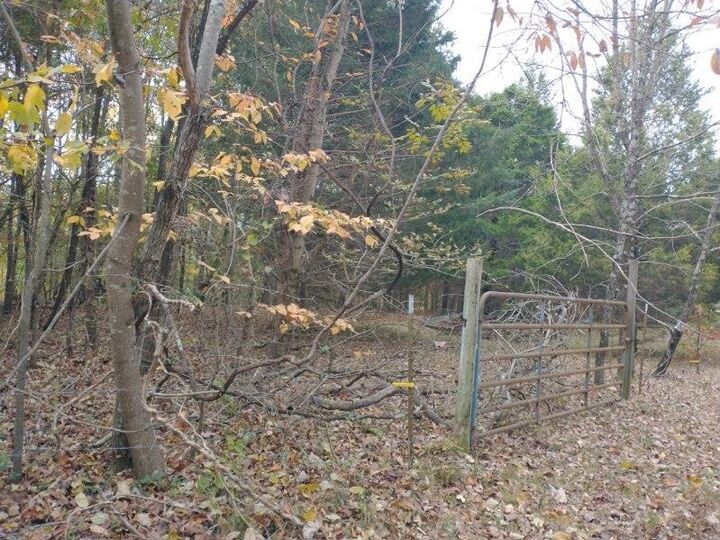 Property Photo:  0 Little Marrowbone Road  TN 37015 