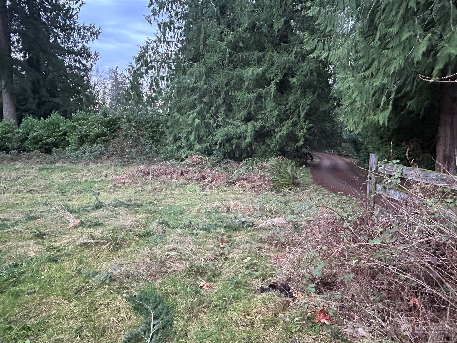 Property Photo:  2027  219th Lane SE  WA 98075 