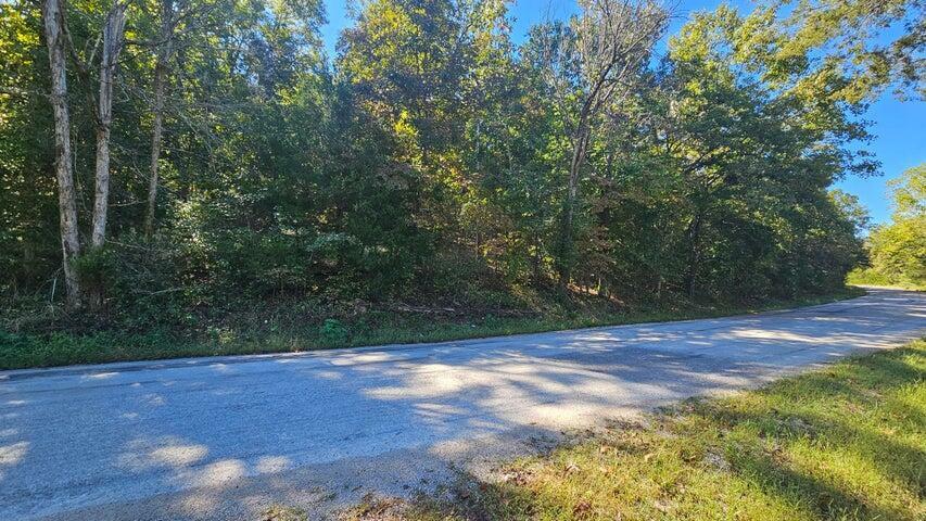 Property Photo: 000 Eastwood Hills Block 6 Lot 2 MO 65761