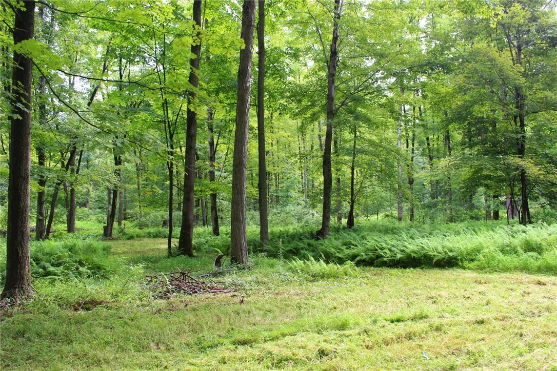 Property Photo: 0 SR 258 PA 16127