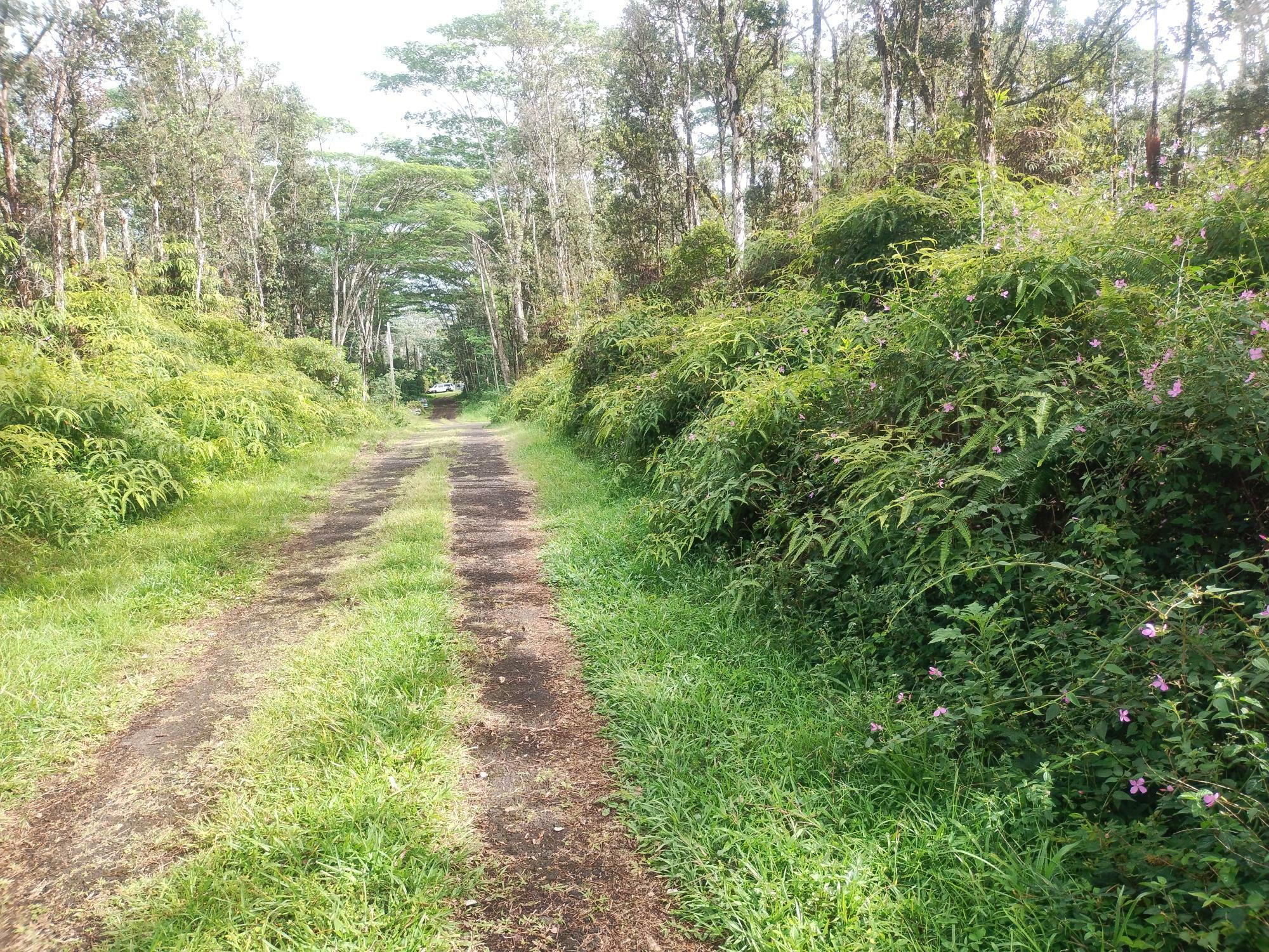 Property Photo:  Pahoa Rd  HI 96778 