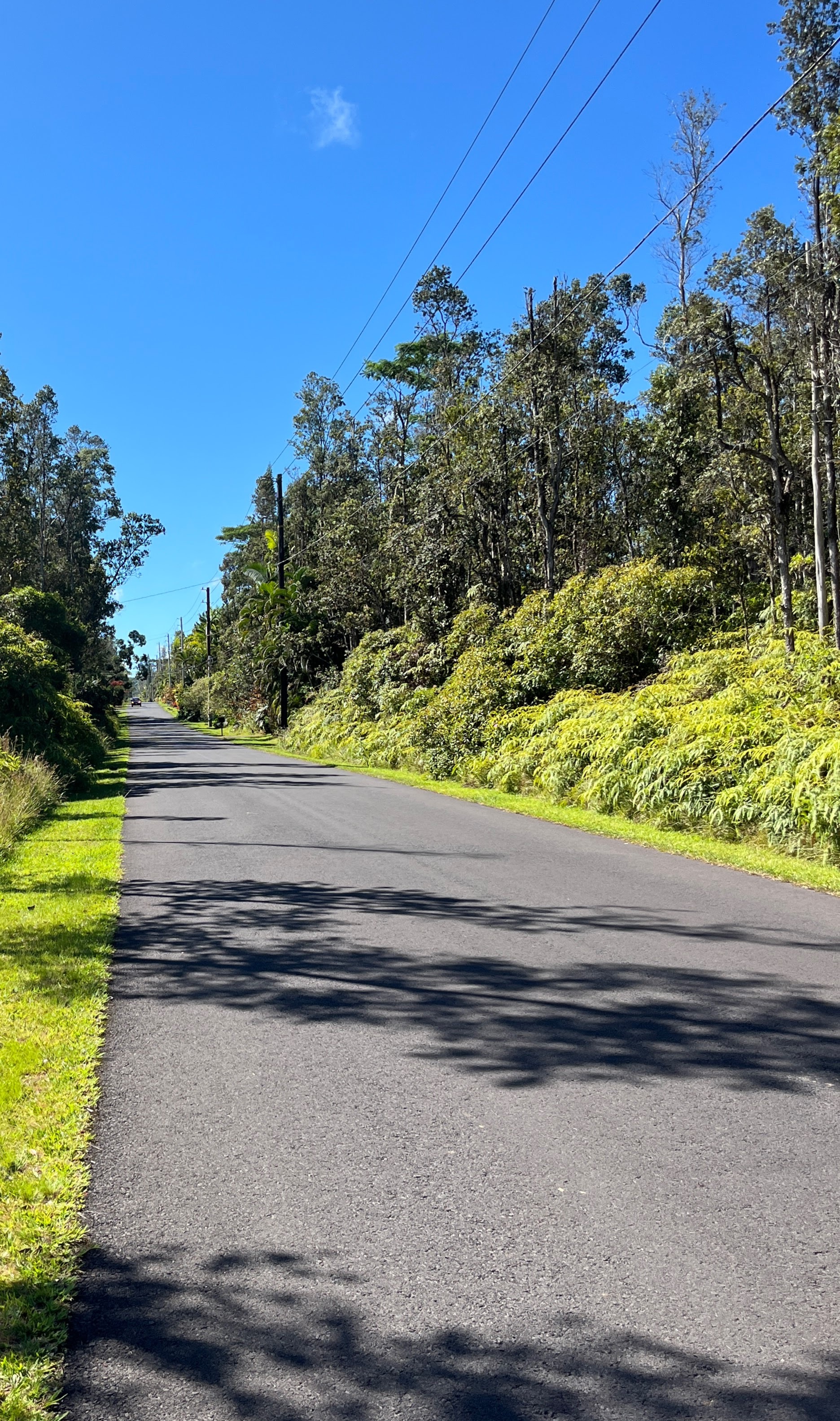 Property Photo:  Kahukai St  HI 96778 