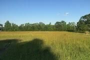 Property Photo:  18158 La 933 Highway  LA 70769 