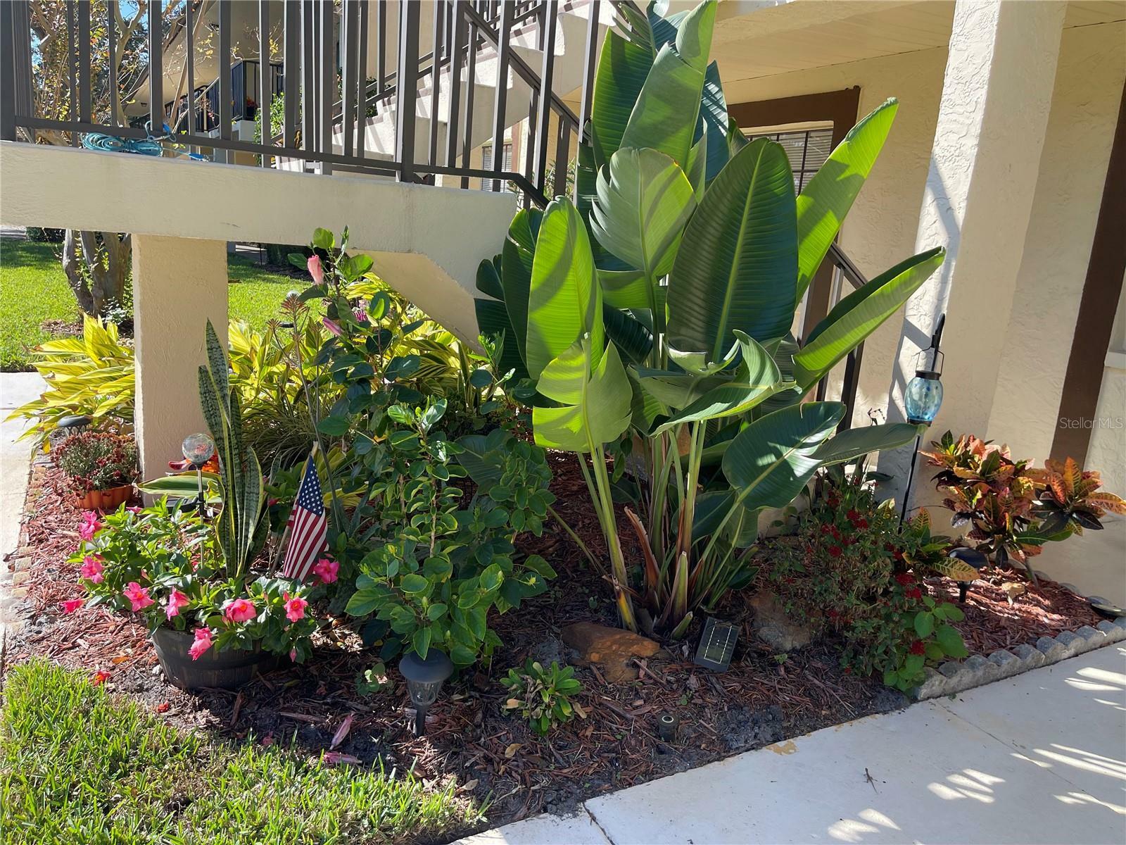 Property Photo:  2400 Winding Creek Boulevard 21A-103  FL 33761 