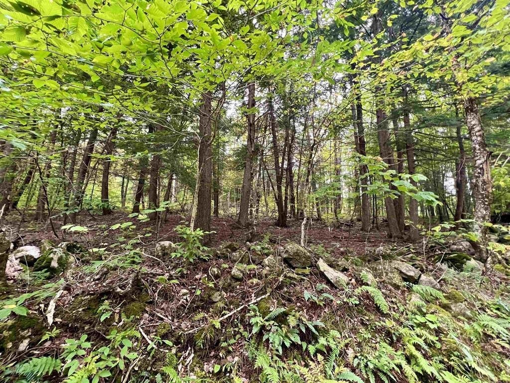 Property Photo: 0 Kidder Road VT 05033