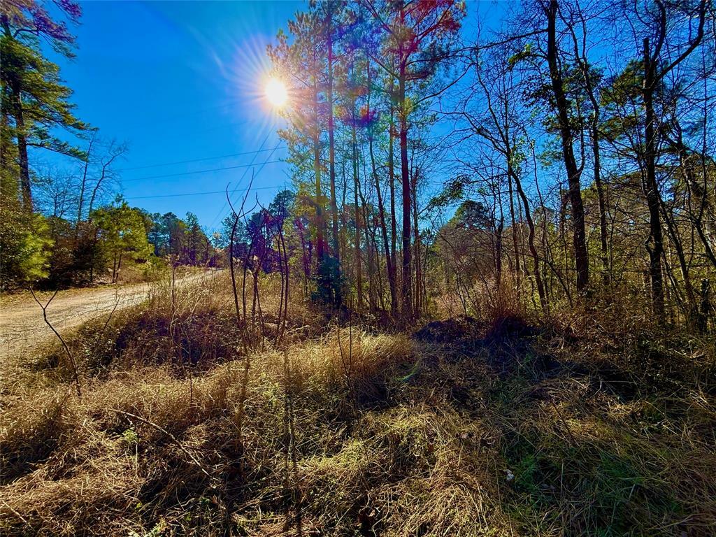 Property Photo:  Lot 16 Chestnut Drive  TX 75651 