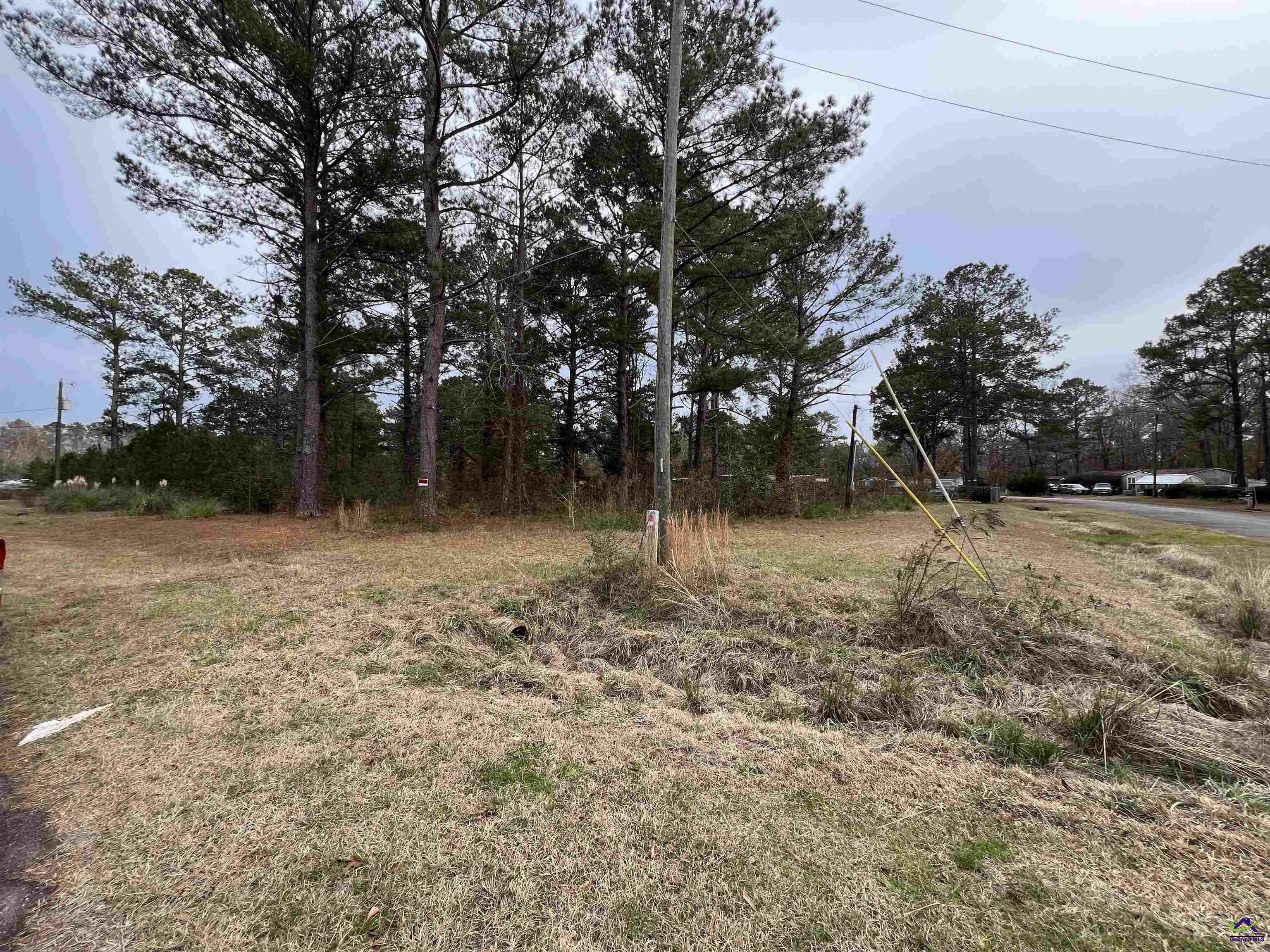 Property Photo:  107 Persimmon Drive  GA 31047 