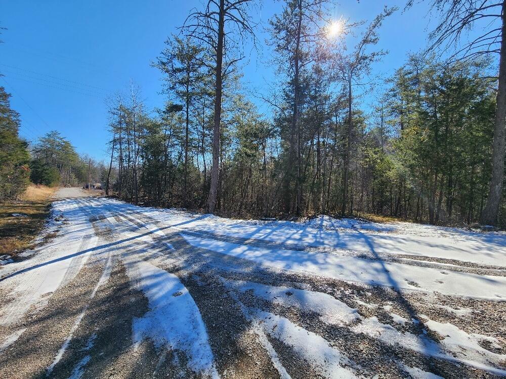 0 Raymond Dr Drive  Burnside KY 42519 photo