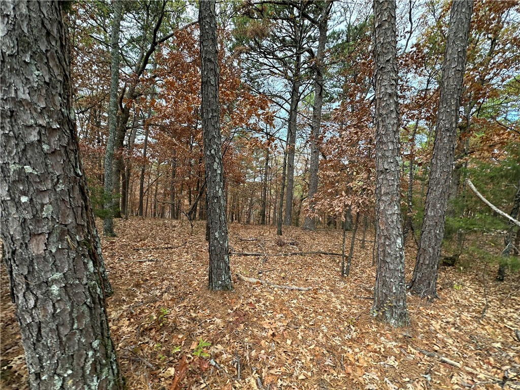 Property Photo:  Tbd Pivot Rock Road  AR 72632 