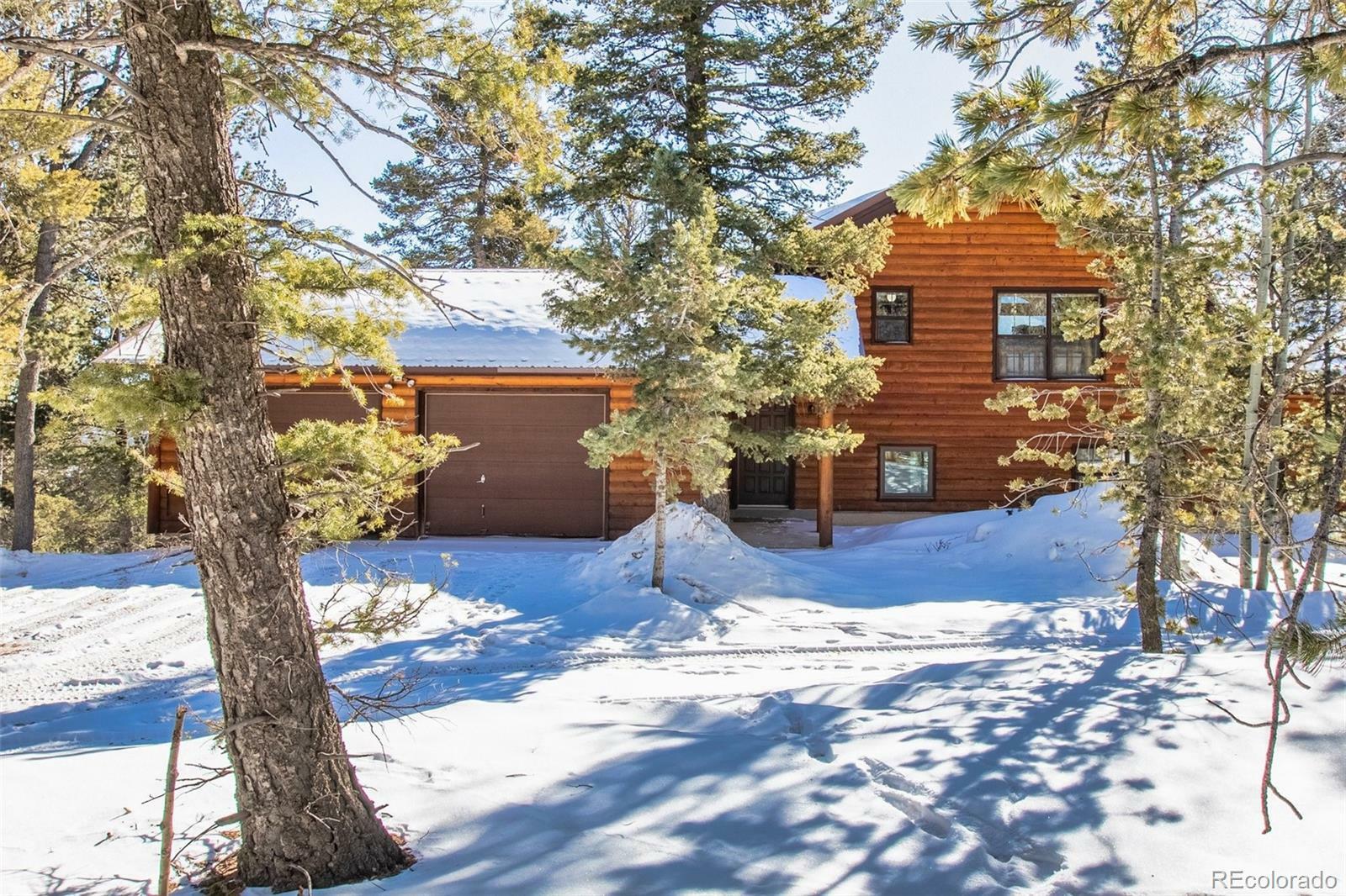 Property Photo:  168 Parkview Drive  CO 80863 