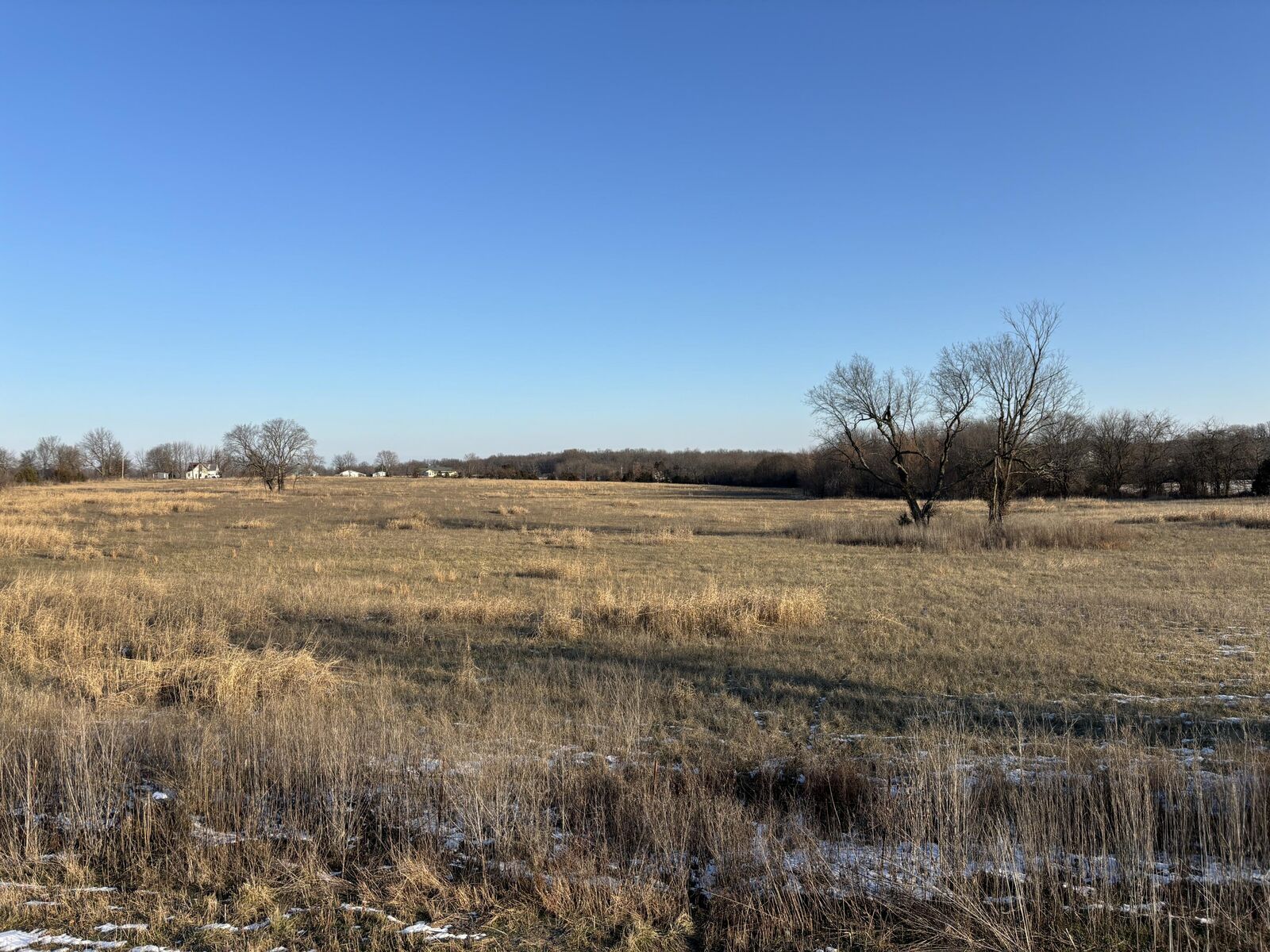 Property Photo:  000 Highway 266  MO 65664 