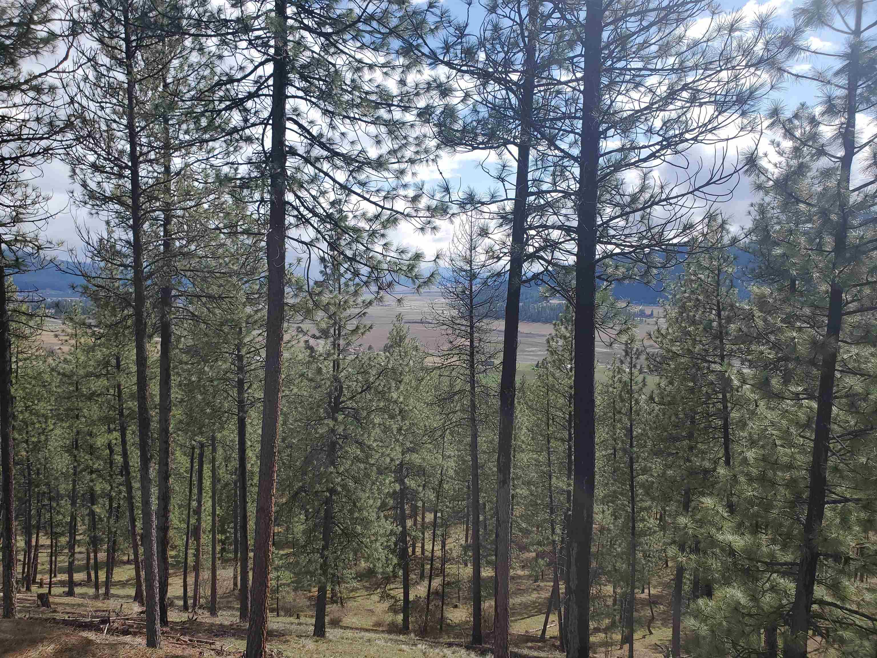 Property Photo: 717 Snead Dr WA 99109