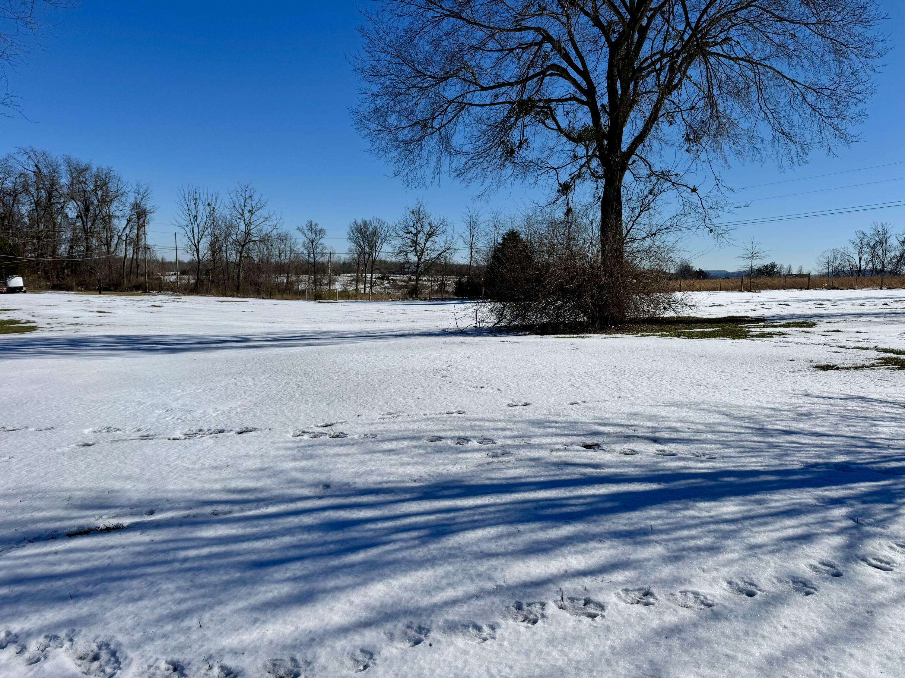 Property Photo:  317 Timberline Court  KY 40403 