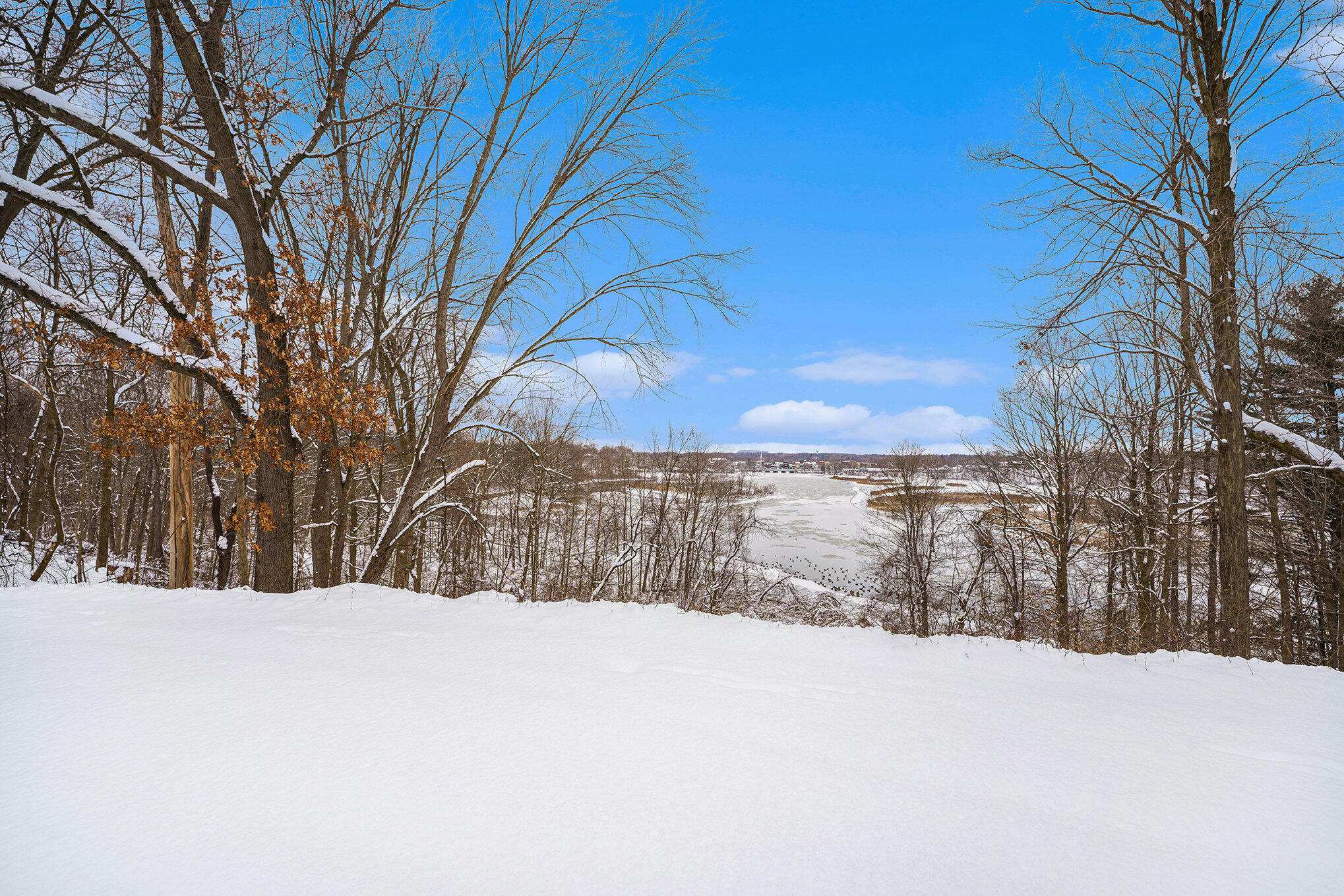 Property Photo:  174 Thomas Street  MI 49010 