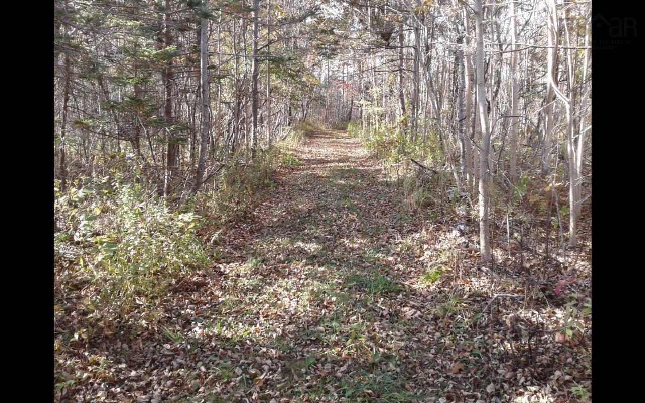 Property Photo:  Lot Shore Road  NS B0S 1A0 