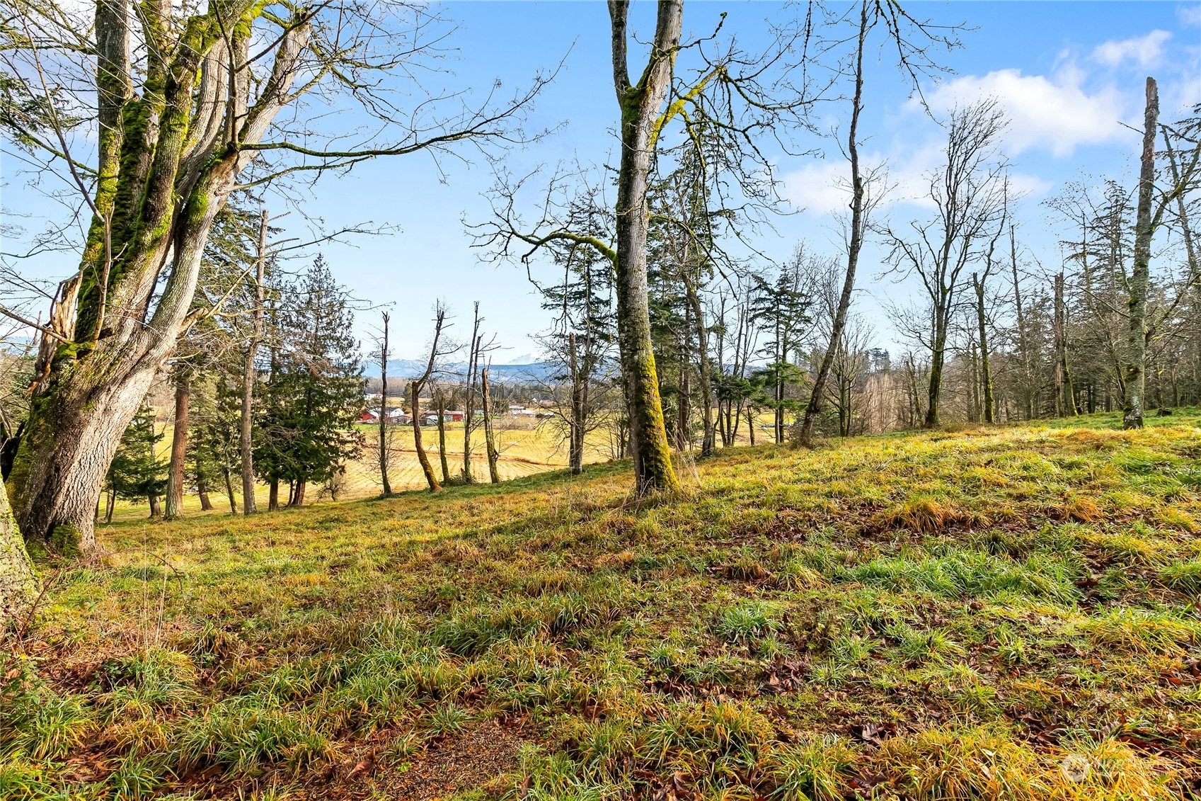 Property Photo:  0  Van Wyck Road  WA 98226 