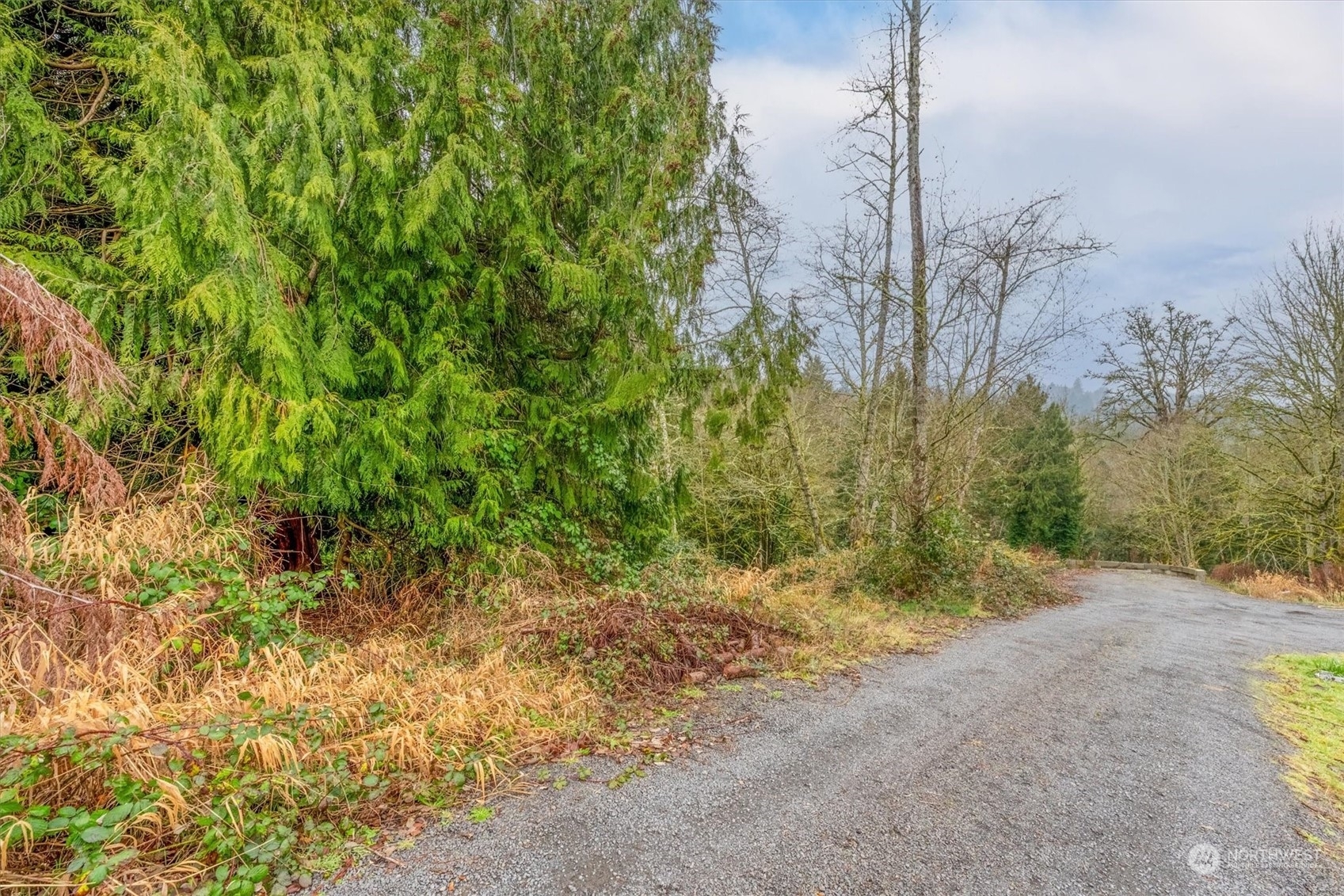 Property Photo:  0  Olson Road  WA 98632 