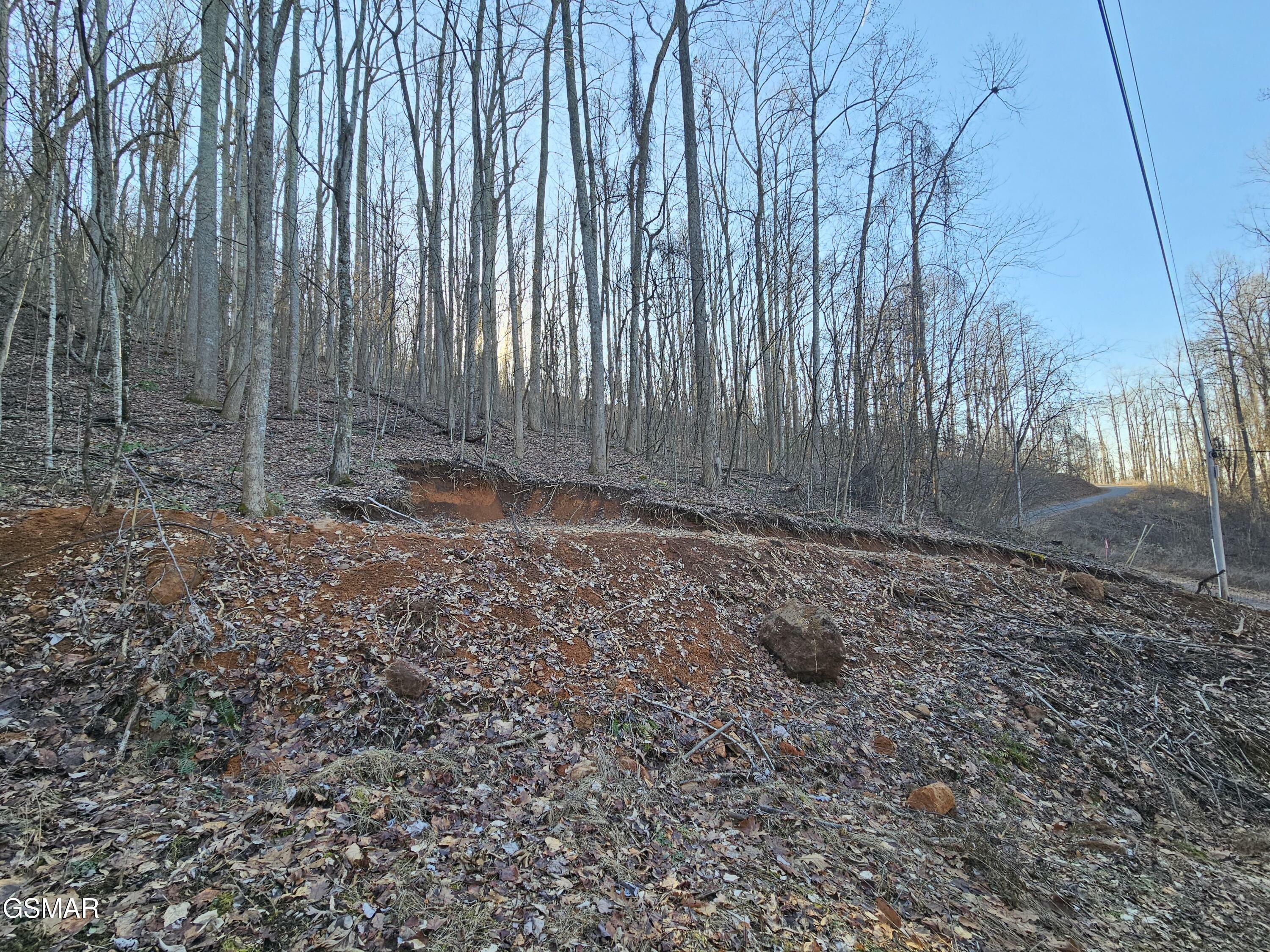 Property Photo:  Lot 30 Grand Country  TN 37722 