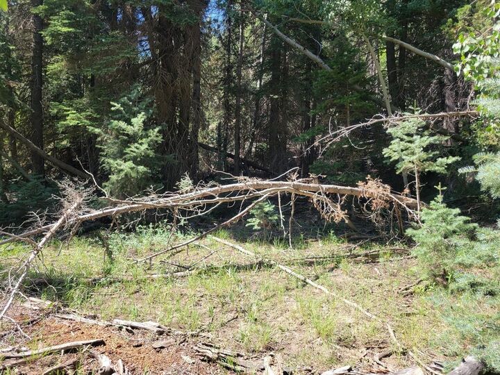 Property Photo:  Lot 45 Pinon Dr  UT 84762