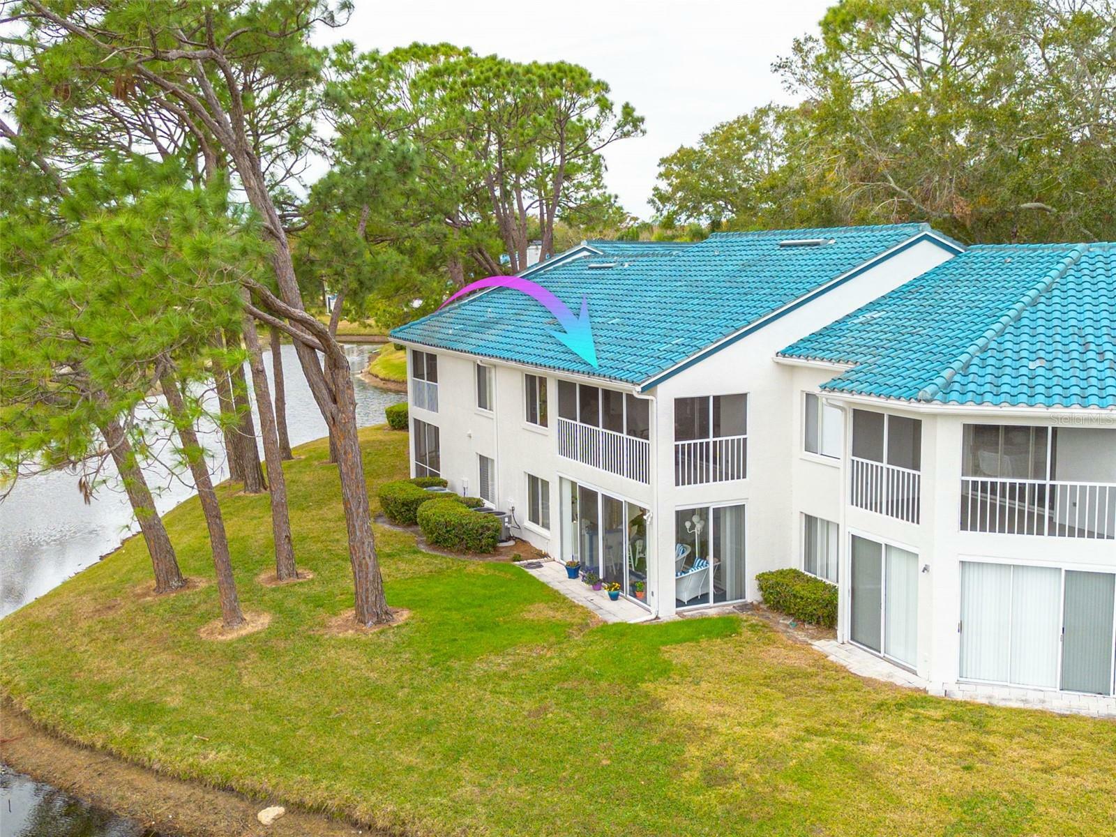 Property Photo:  3609 Indigo Pond Drive  FL 34685 