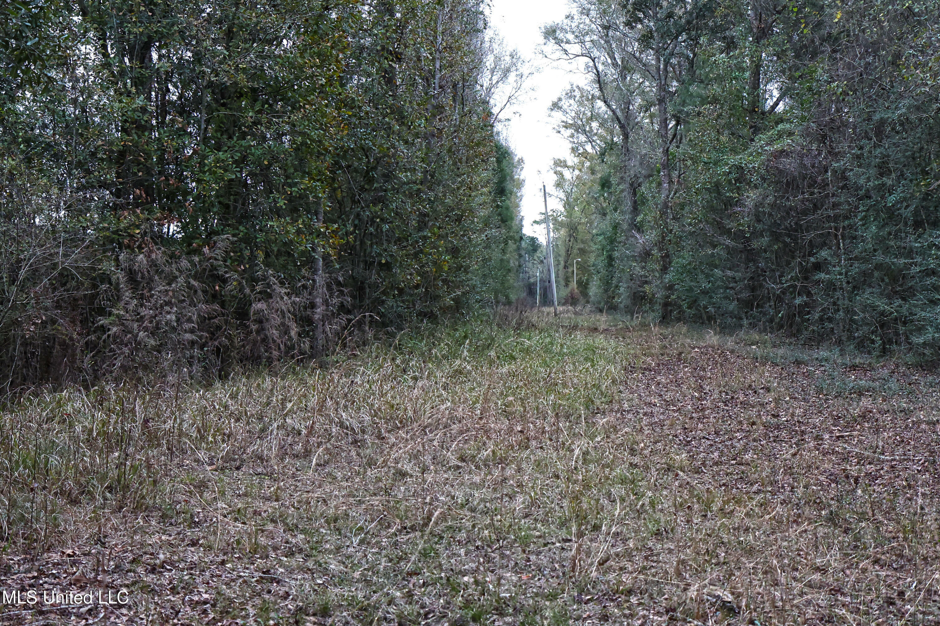 Property Photo:  0 Ramie Farm Road  MS 39452 