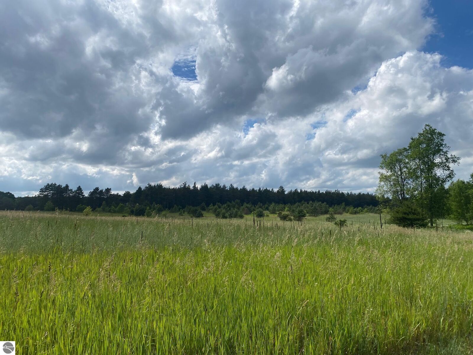 Property Photo:  E 40 Road  MI 49601 