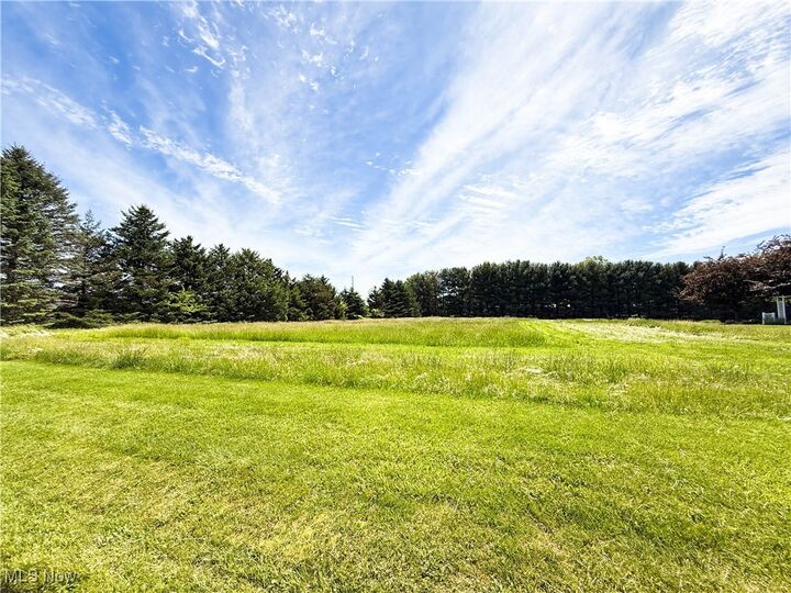 Property Photo:  49631 Foxwood Lane  OH 44413 