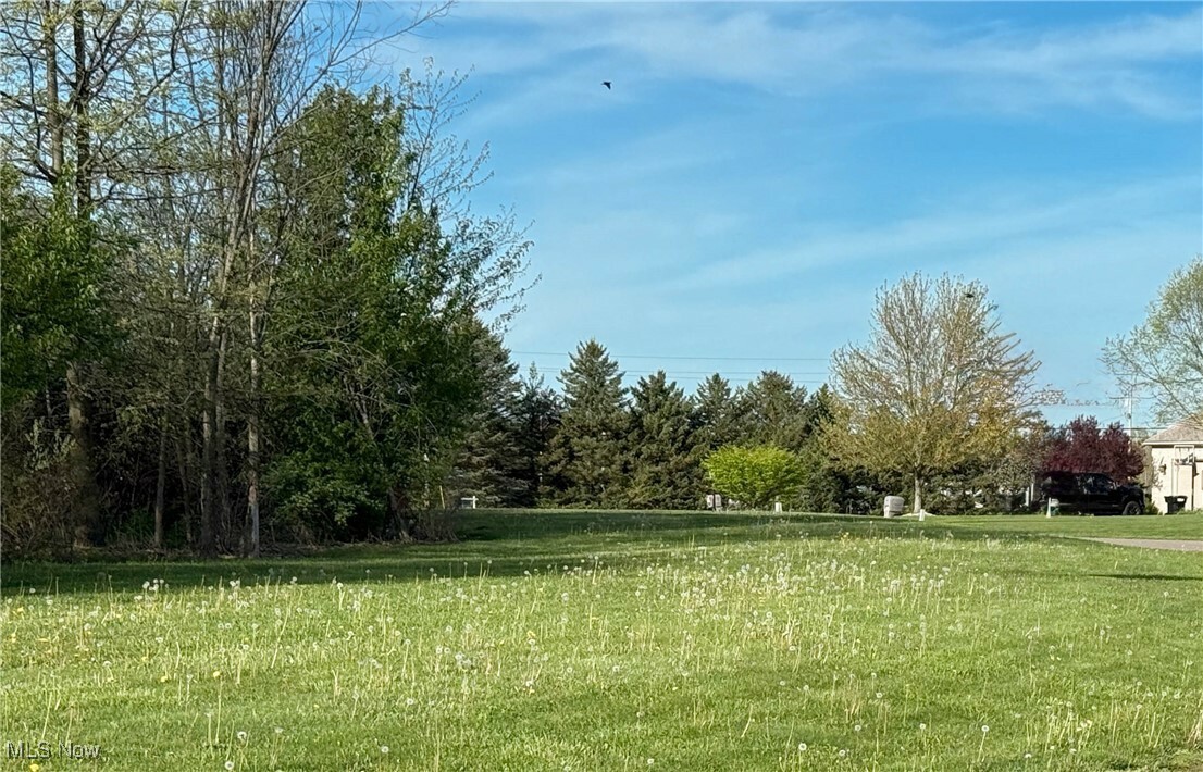 Property Photo: 49556 Foxwood Lane OH 44413