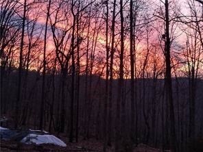 Property Photo: 391 County Road 1486 AR 72632