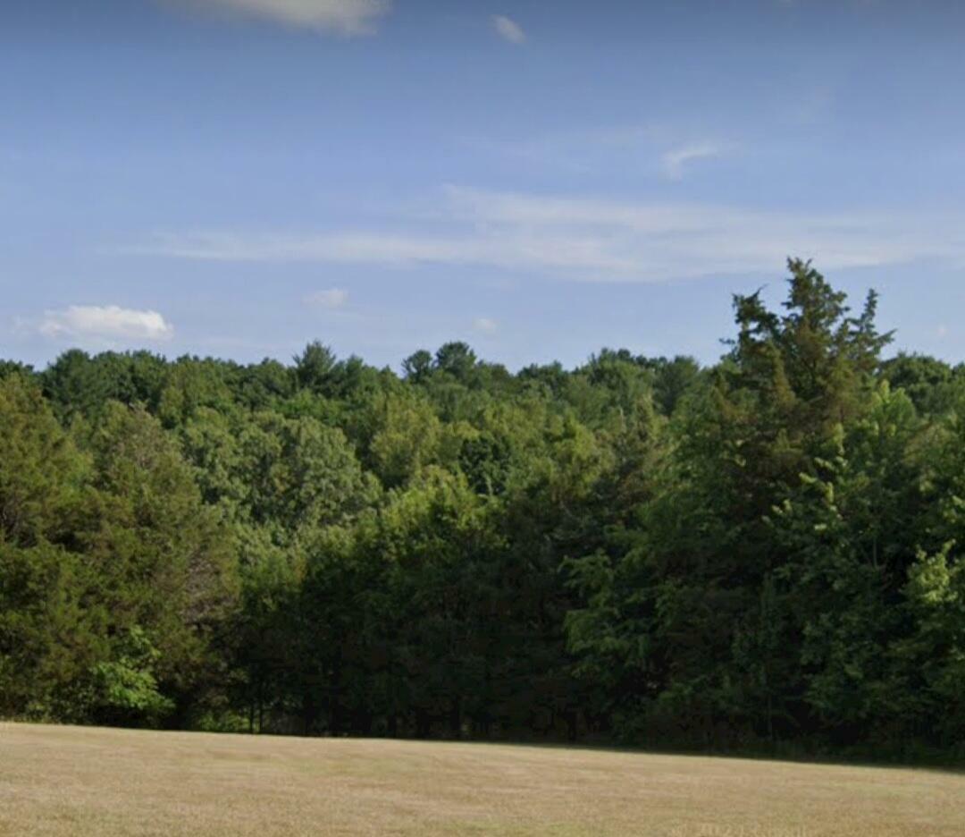 Property Photo:  Lot 50 Dillon Cabin Rd  VA 24121 