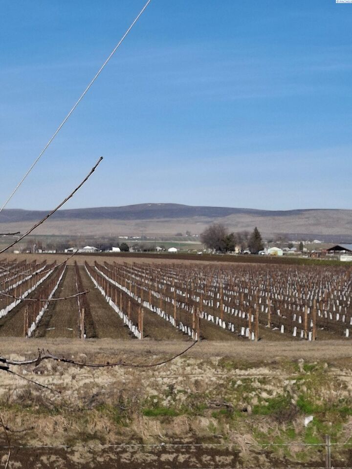 Property Photo: Lester Rd WA 98944