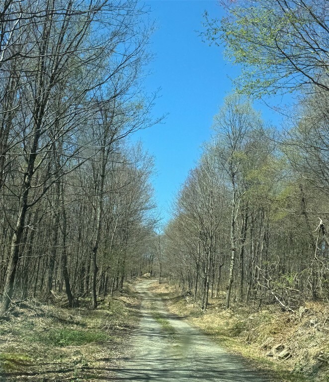 Property Photo: 1229 & 1253 Trim Street NY 13865