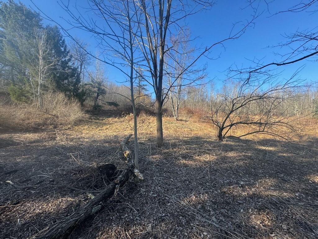 Property Photo:  55 Kent Street  NY 13865 