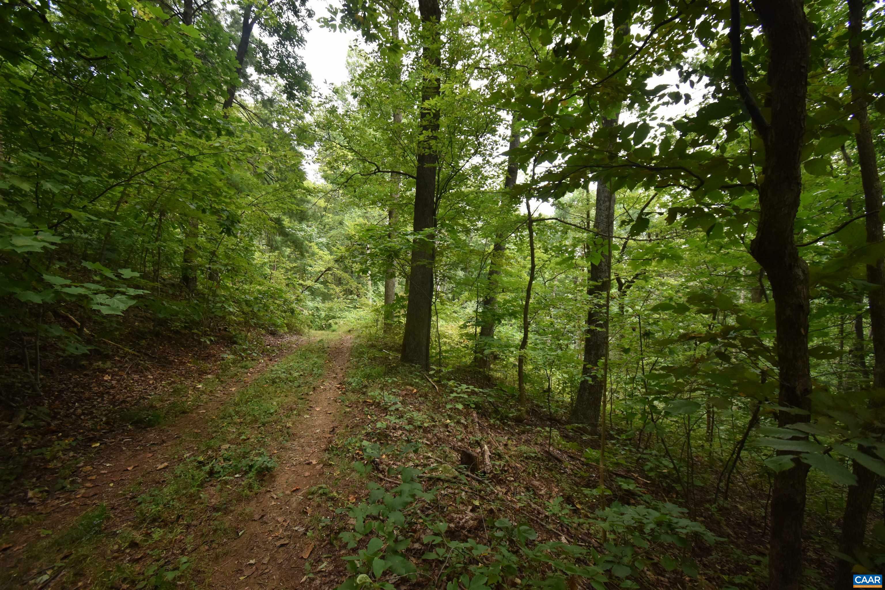 Property Photo:  12 Old Mountain Rd  VA 22973 