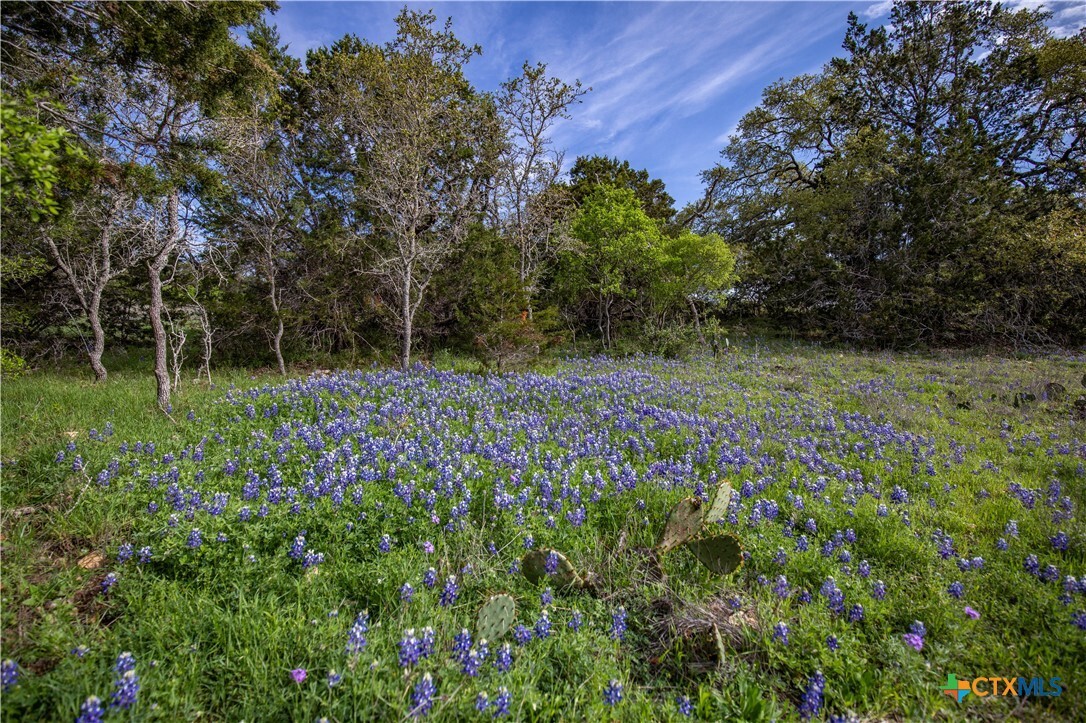0 Hugo Road  San Marcos TX 78666 photo