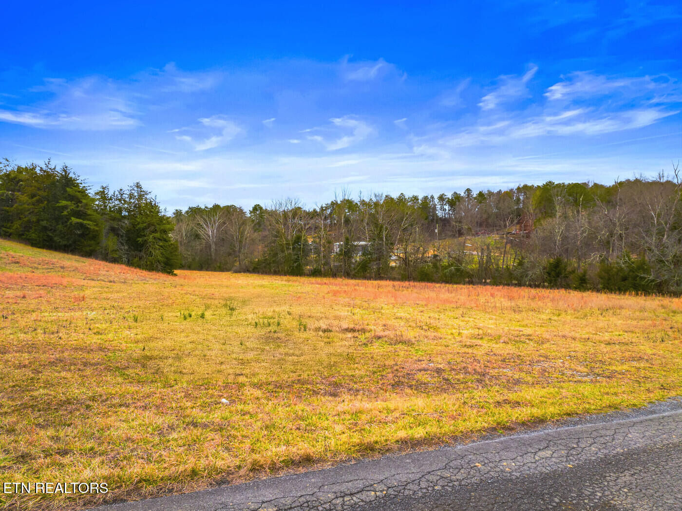 Property Photo:  Lot 1 Lonesome Point Rd  TN 37713 