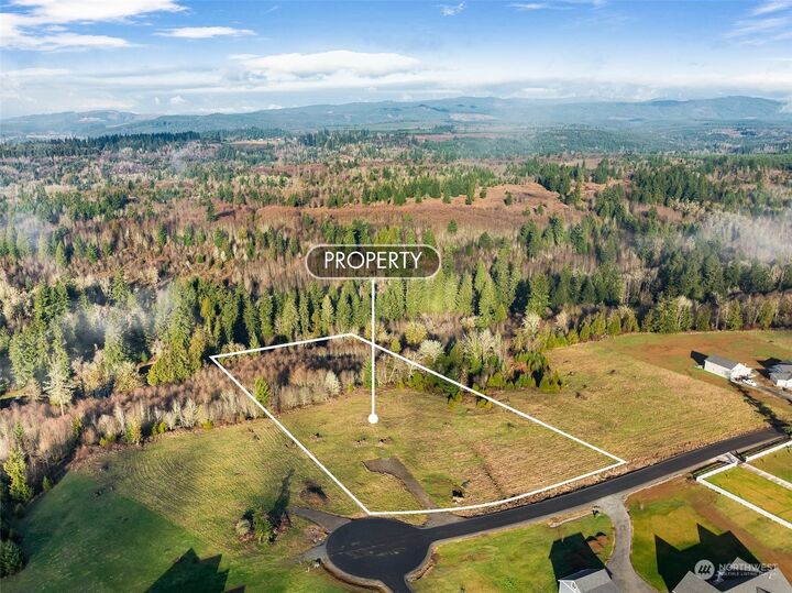 Property Photo: 228 Birchfield Commons WA 98570