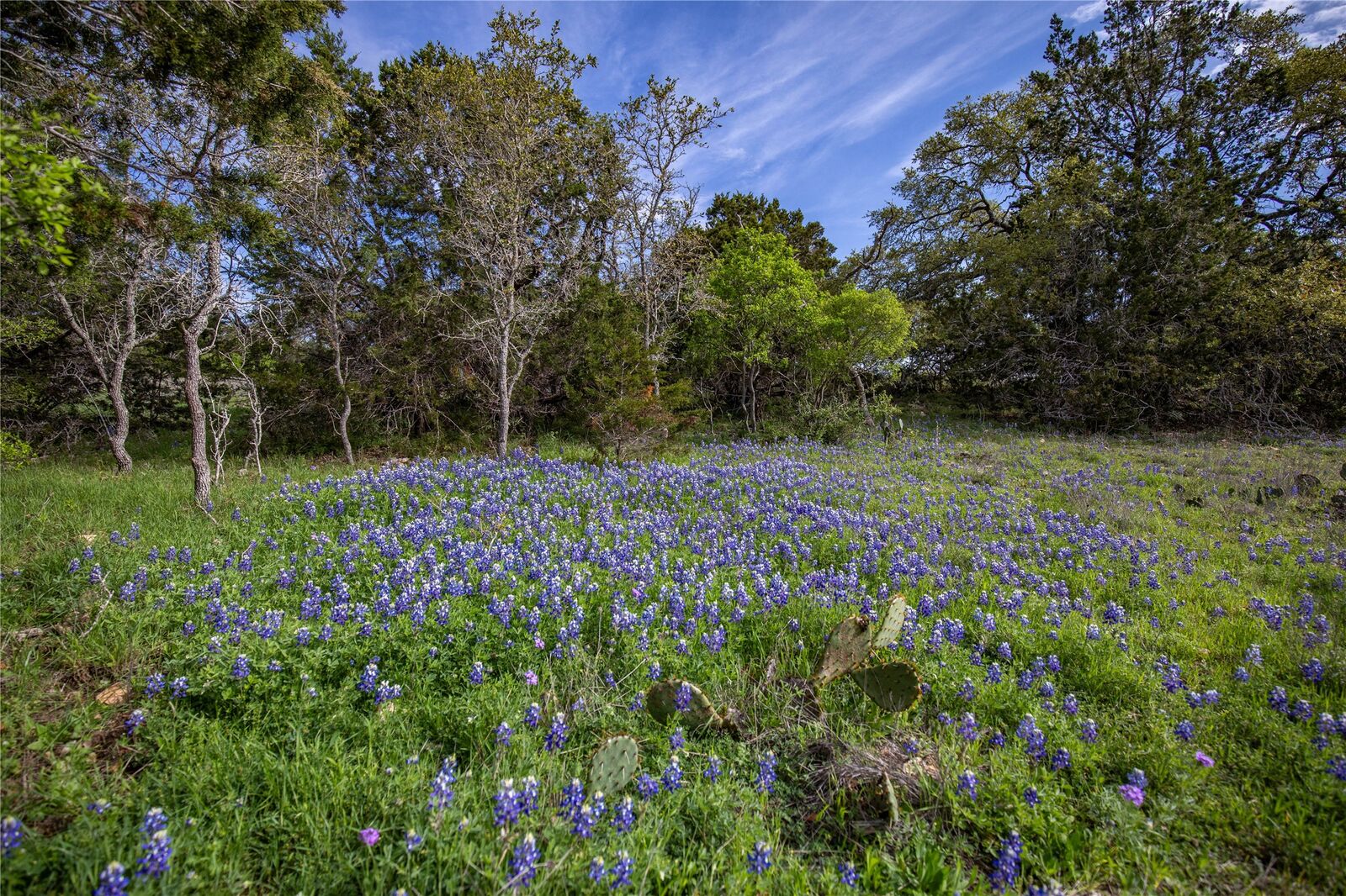 Property Photo:  0 Hugo Road  TX 78666 