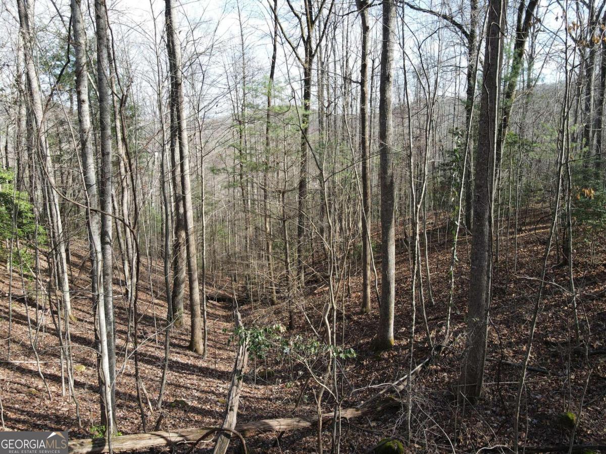 Lot 20 Settlers Cove  Blairsville GA 30512 photo