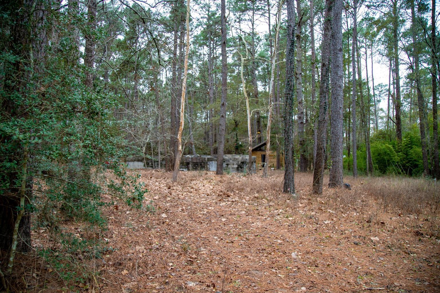Property Photo: 16438 Grand Flower Road TX 77363